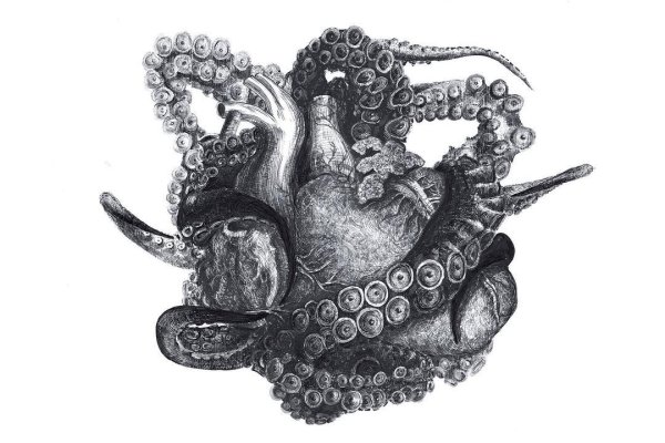 Кракен сайт kra